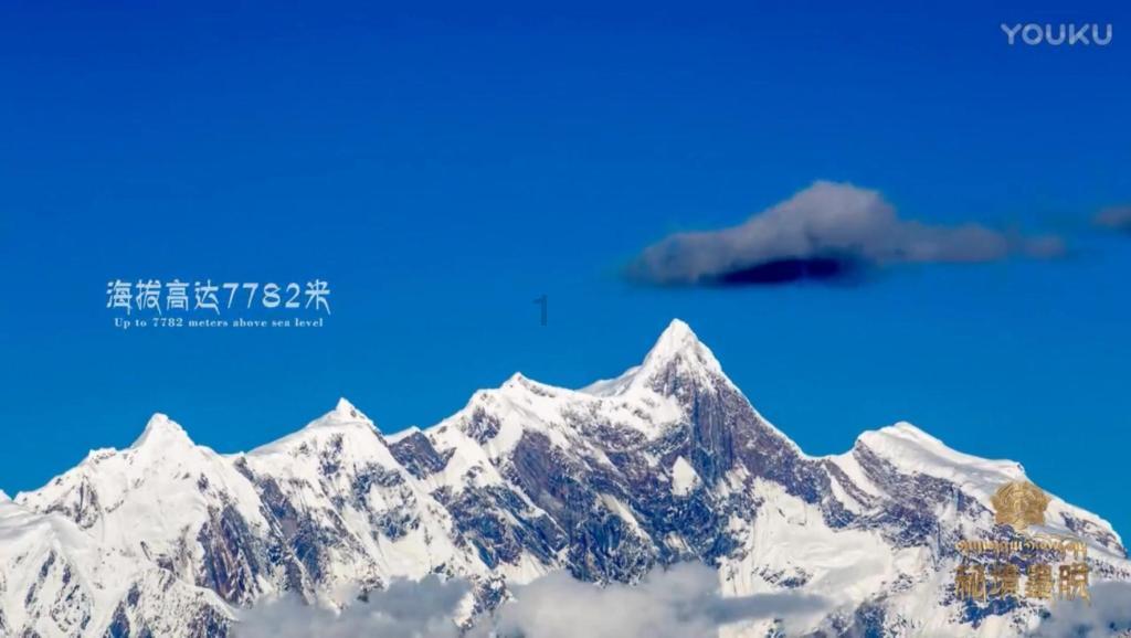 李湘卖二手物品上热搜！毛巾1560，茶壶1450